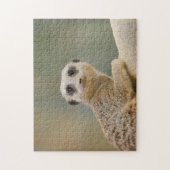 Mercats Africa Legpuzzel (Verticaal)