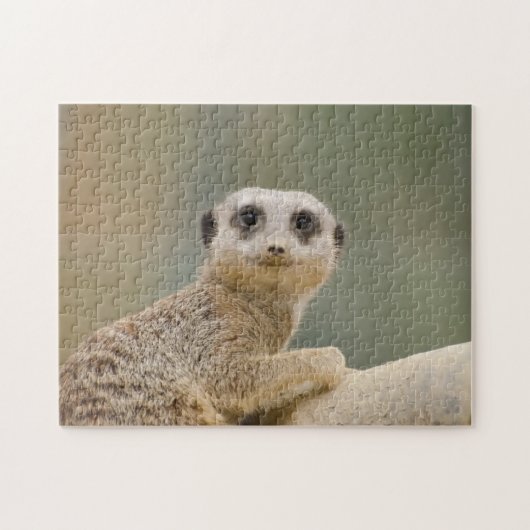 Mercats Afrika Legpuzzel (Horizontaal)