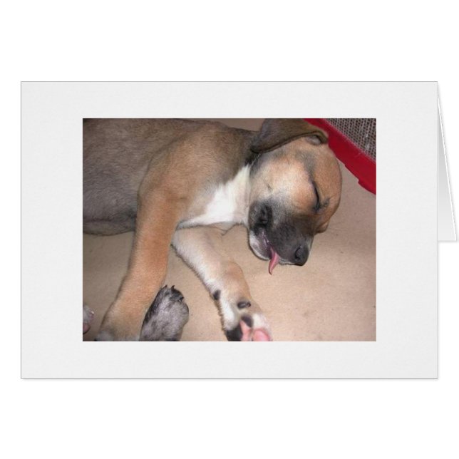 Mercedes (Devant horizontal)