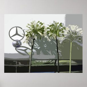 MERCEDES EN AGAPANTHUS POSTER