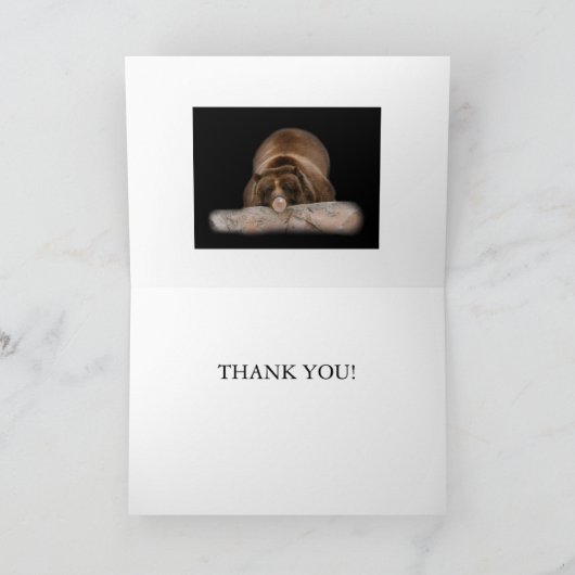 Merci ! (Intérieur)