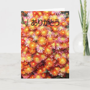 Merci あ り が う en japonais