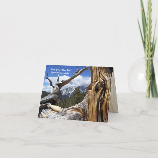 Merci 4 Sympathy Mountain Thru Tree Note Card (Devant)