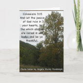 Merci à mon ami (Devant)