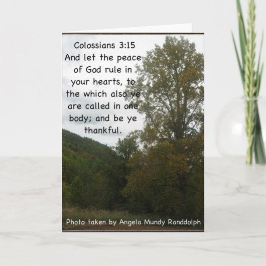 Merci à mon ami (Devant)