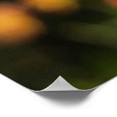 Merci à nos infirmières Affiches Semaine des infir (Coin)