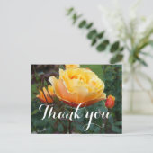 Merci À propos du Rose Face #2 Carte postale (Debout devant)