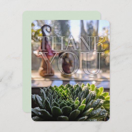 Merci à thème Vert Succulent Nature (Devant / Derrière)