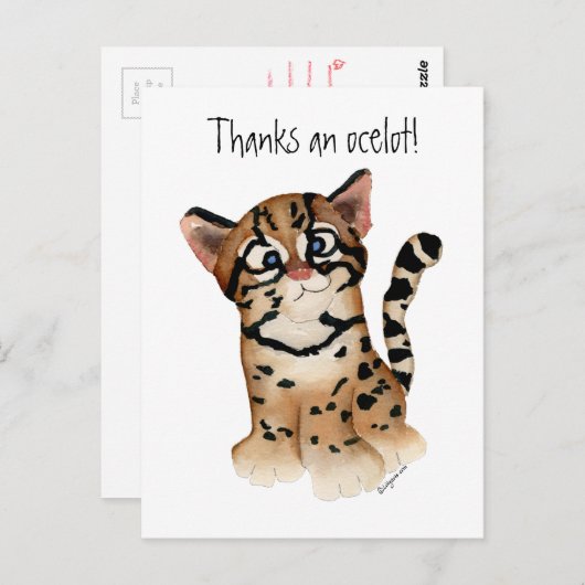 Merci à une carte postale Ocelot (Devant / Derrière)
