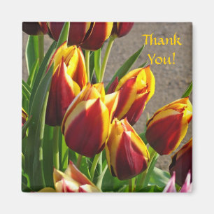 Merci ! aimant Rouge Jaune Tulipe Fleurs de jardin