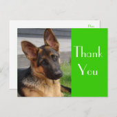 Merci Allemand Berger Chien Chien Chien Pot Carte (Devant / Derrière)