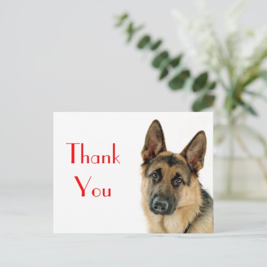 Merci Allemand Berger Chien Chien Chien Pot Carte (Debout devant)