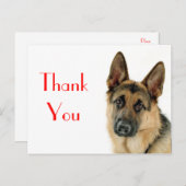 Merci Allemand Berger Chien Chien Chien Pot Carte (Devant / Derrière)