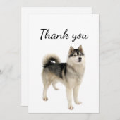 Merci Américain Eskimo Malamute Chien animal anima (Devant / Derrière)