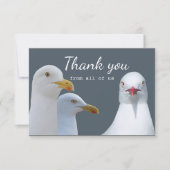 Merci Amusement de tous les Seagull Group US (Devant)