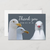 Merci Amusement de tous les Seagull Group US (Devant / Derrière)