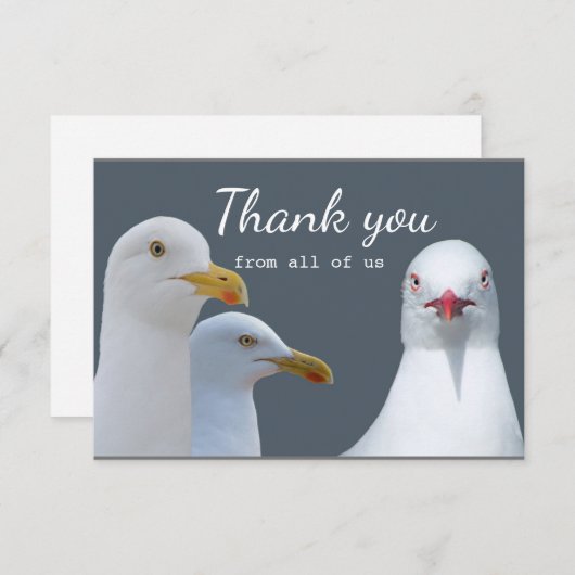 Merci Amusement de tous les Seagull Group US (Devant / Derrière)