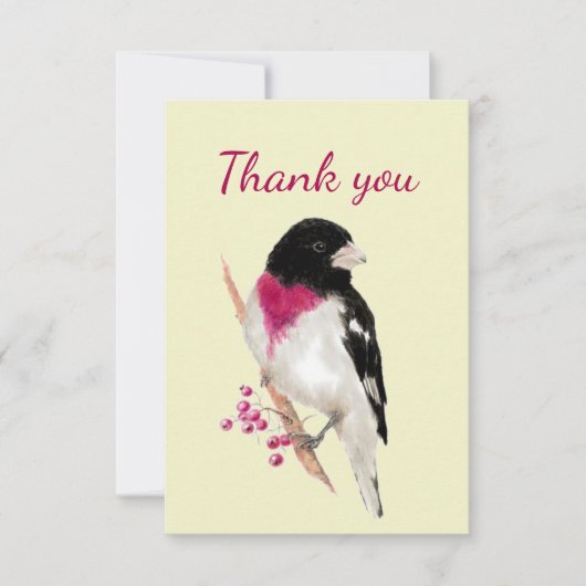 Merci Aquarelle Rose Grosbeak Breast Bird (Devant)