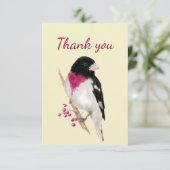 Merci Aquarelle Rose Grosbeak Breast Bird (Debout devant)