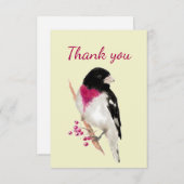 Merci Aquarelle Rose Grosbeak Breast Bird (Devant / Derrière)