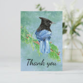 Merci Aquarelle Stellar Jay Bird (Debout devant)