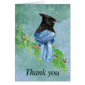 Merci Aquarelle Stellar Jay Bird Nature (Devant)