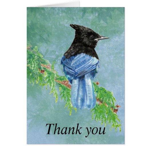 Merci Aquarelle Stellar Jay Bird Nature (Devant)