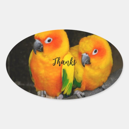 Merci autocollant ovale (Devant)