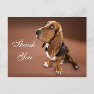 Merci Basset Hound Carte postale