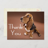 Merci Basset Hound Carte postale de voeux (Devant / Derrière)