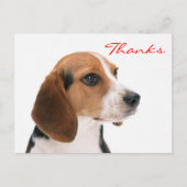 Merci Beagle Chien Chien Chien Salutation Carte po (Devant)