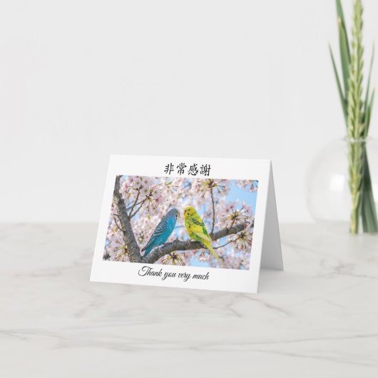 Merci beaucoup en Mandarin chinois Perruches ondul (Devant)