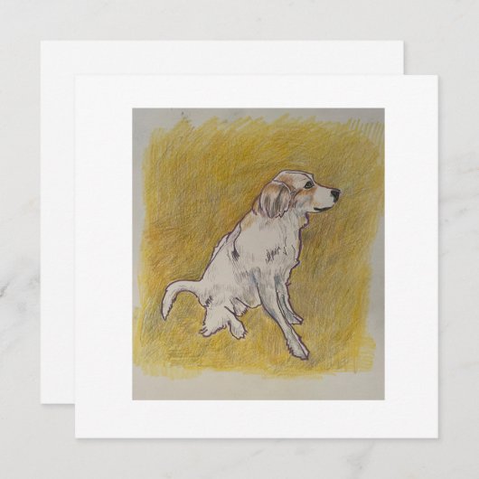 Merci Beaucoup ou Merci (Devant / Derrière)