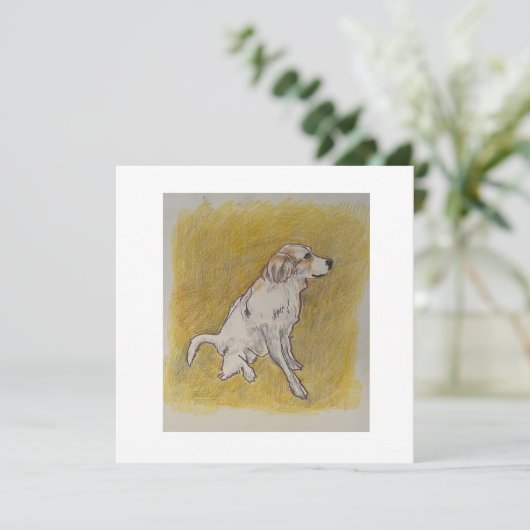 Merci Beaucoup ou Merci (Debout devant)