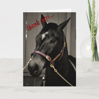 Merci bienveillant cheval d'appréciation merci