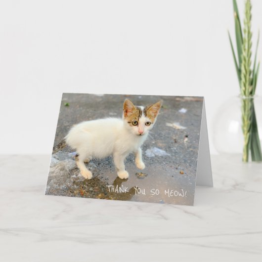 Merci BLANC TELLEMENT ! Carte de remerciements (Devant)