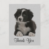 Merci Bordure Collie Chien Chien Chien Chien Carte (Devant)
