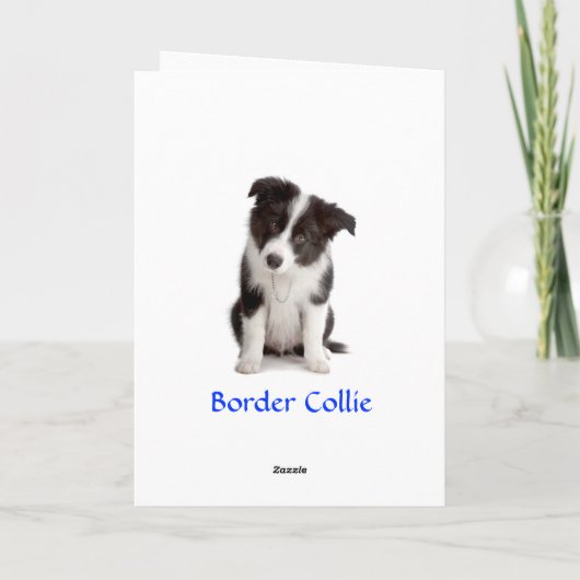 Merci Bordure Collie Puppy (Dos)