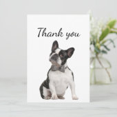 Merci Boston Terrier chien animal animal animal an (Debout devant)