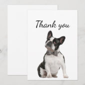 Merci Boston Terrier chien animal animal animal an (Devant / Derrière)