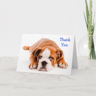 Merci Bulldog Greeting Card - Kindness Verse