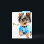Merci Card_Yorkie<br><div class="desc">Dites le Merci avec ce Yorkie adorable !  C'est intérieur vide pour votre salutation personnalisée.</div>