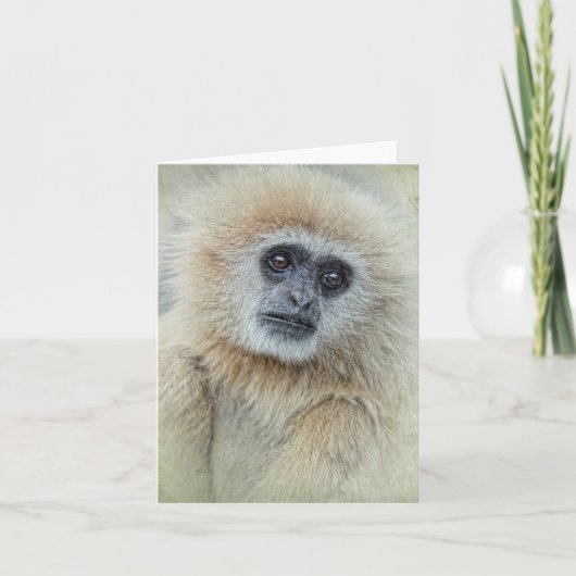 Merci carte (Devant)