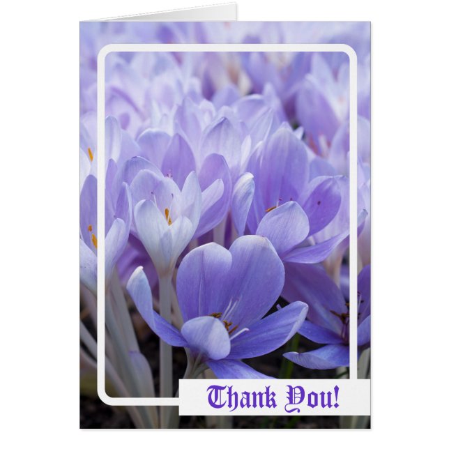 Merci! Carte (Devant)