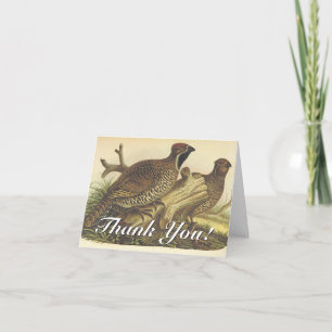 "Merci !", Carte de voeux pour deux oiseaux