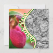 Merci Carte photo rose Lady (Devant)