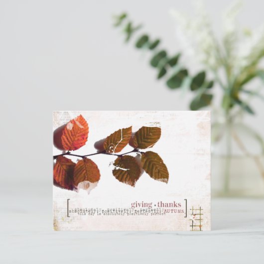 merci carte postale (Debout devant)