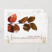 merci carte postale (Devant / Derrière)