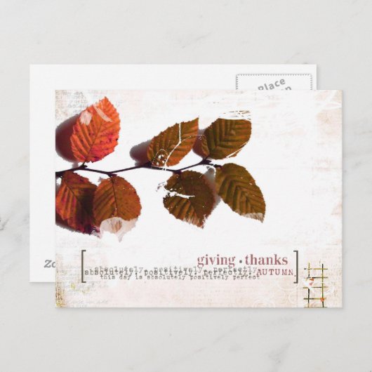 merci carte postale (Devant / Derrière)