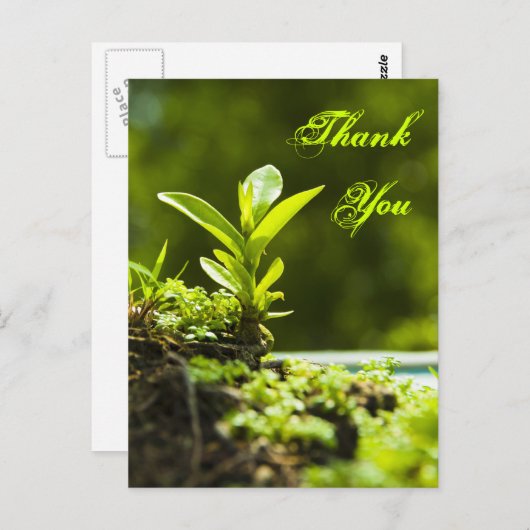 Merci - carte postale (Devant / Derrière)